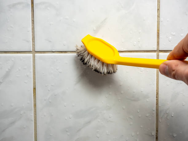 Best Toxic Mold Removal  in Bamberg, SC