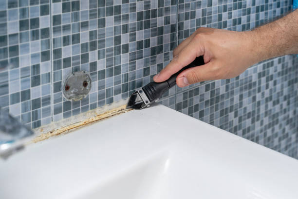 Office Mold Removal Services in Bamberg, SC